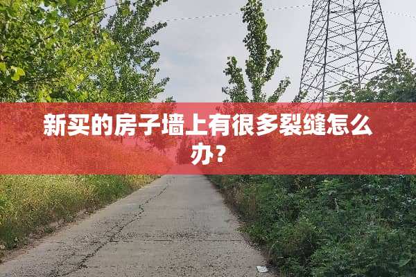 新买的房子墙上有很多裂缝怎么办？