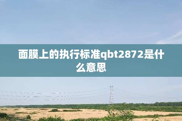 面膜上的执行标准qbt2872是什么意思