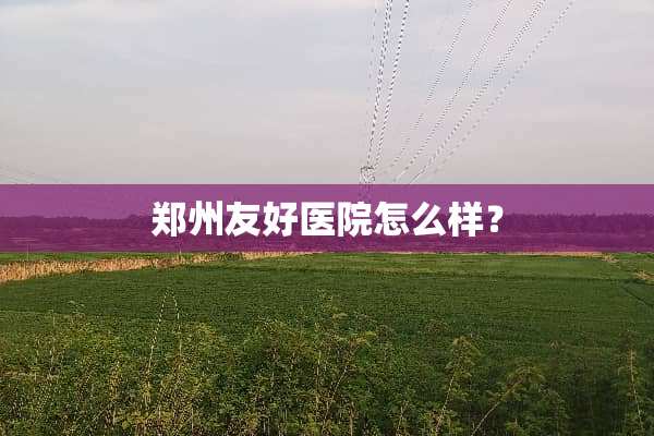 郑州友好医院怎么样？
