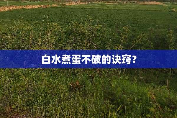 白水煮蛋不破的诀窍？