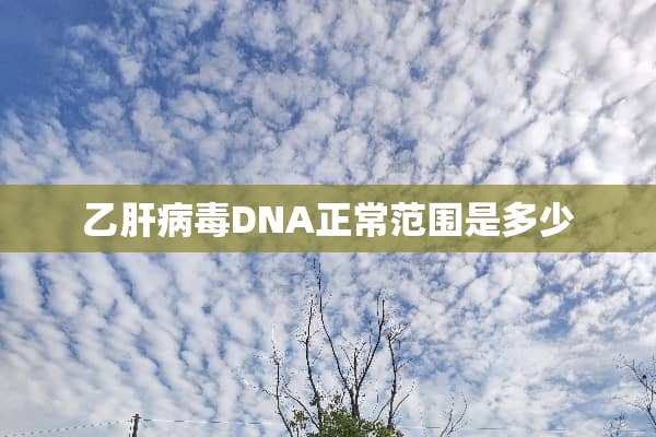 乙肝**DNA正常范围是多少