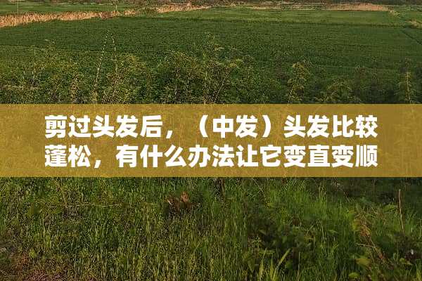 剪过头发后，（中发）头发比较蓬松，有什么办法让它变直变顺，除了拉？