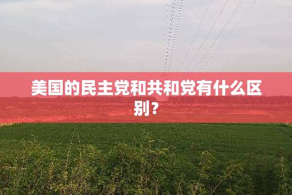 美国的***和共和*有什么区别？