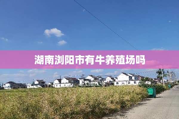 湖南浏阳市有牛养殖场吗