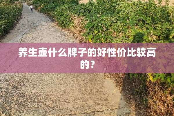 养生壶什么牌子的好性价比较高的？