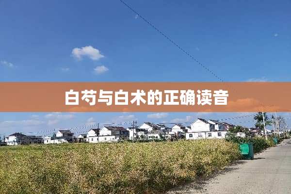 白芍与白术的正确读音