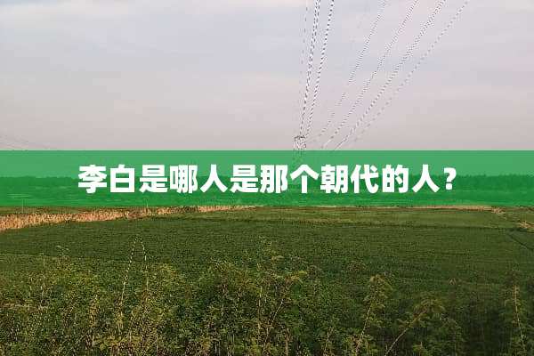 李白是哪人是那个朝代的人？