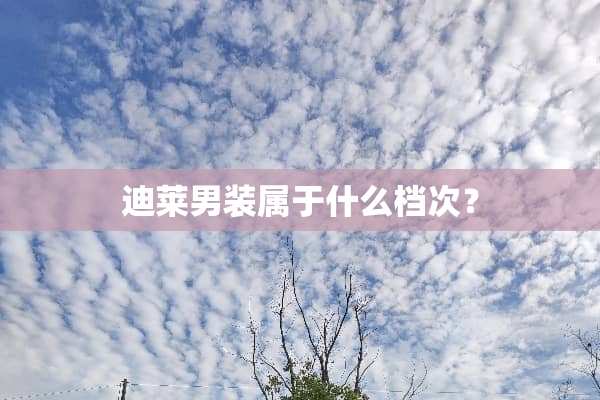 迪莱男装属于什么档次？