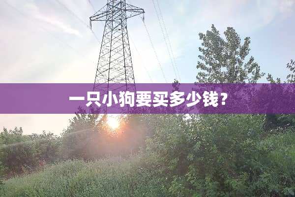 一只小狗要买多少钱？