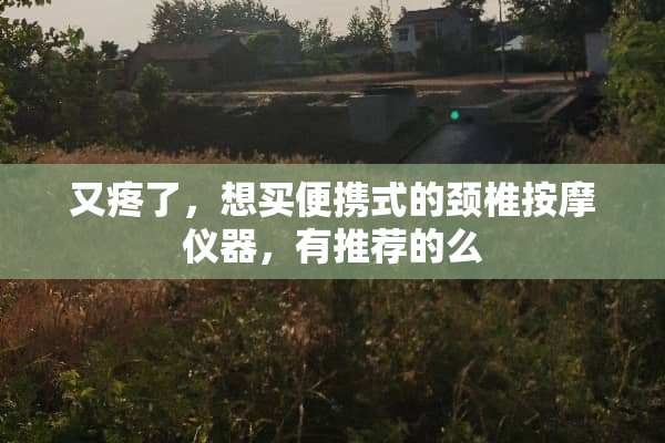 又疼了，想买便携式的颈椎按摩仪器，有推荐的么