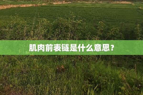 肌肉前表链是什么意思？