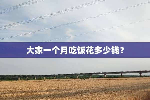 大家一个月吃饭花多少钱？