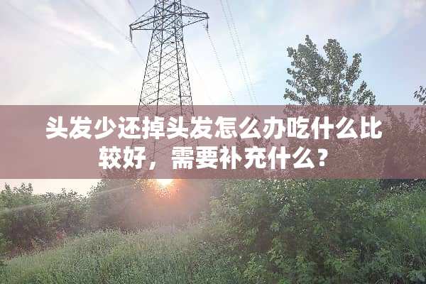 头发少还掉头发怎么办吃什么比较好，需要补充什么？