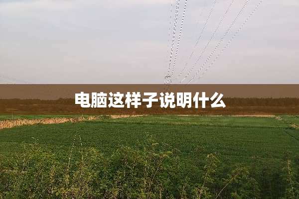 电脑这样子说明什么