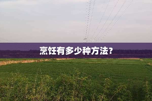 烹饪有多少种方法？