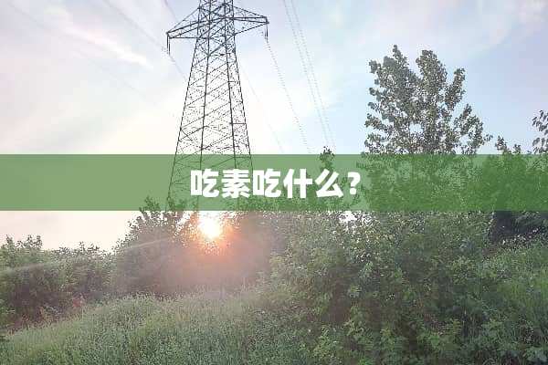 吃素吃什么？