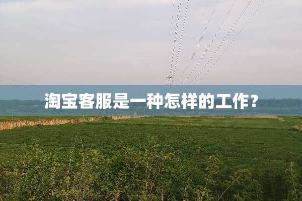 淘宝客服是一种怎样的工作？