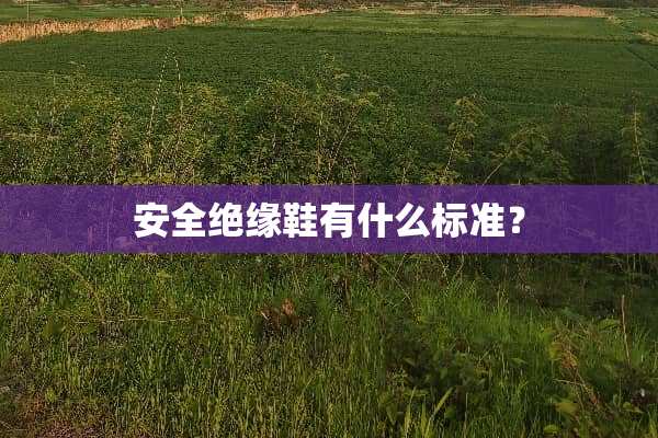 安全绝缘鞋有什么标准？
