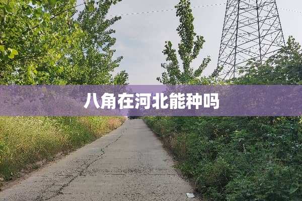 八角在河北能种吗