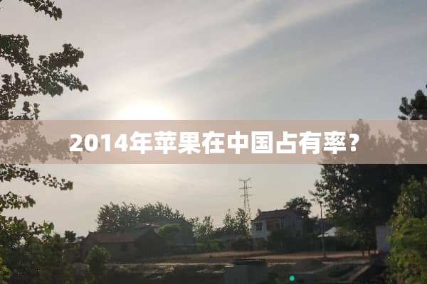 2014年苹果在中国占有率？