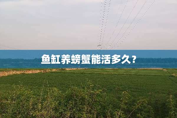 鱼缸养螃蟹能活多久？