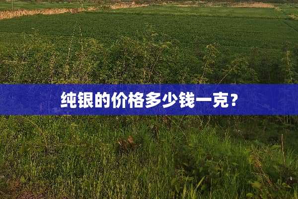 纯银的价格多少钱一克？