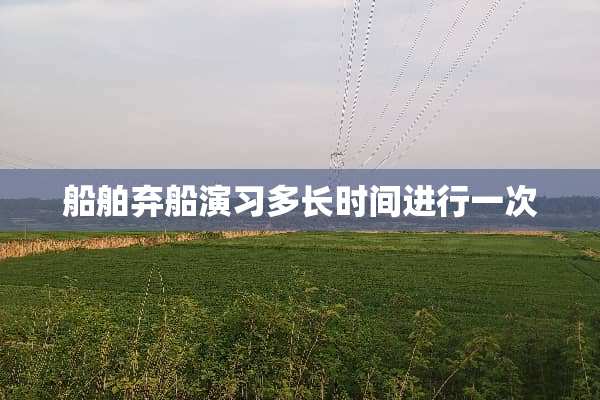 船舶弃船演习多长时间进行一次