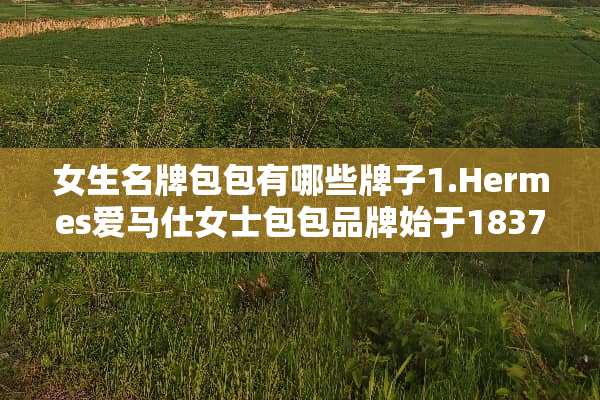 女生名牌包包有哪些牌子1.Hermes爱马仕女士包包品牌始于1837年巴黎