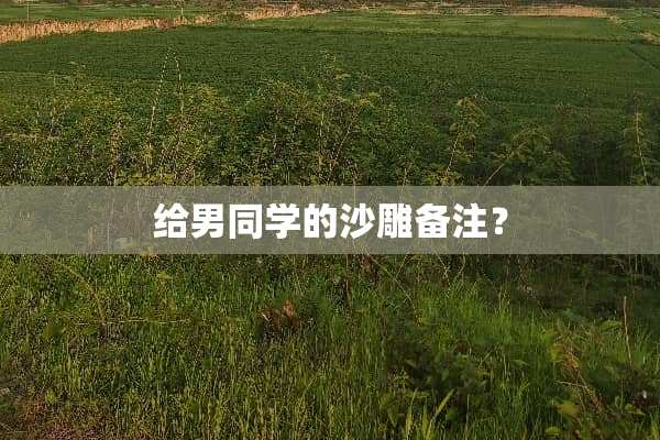 给男同学的沙雕备注？