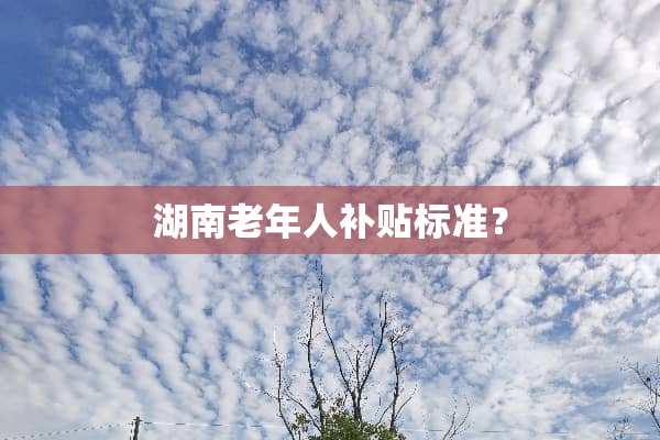 湖南老年人补贴标准？