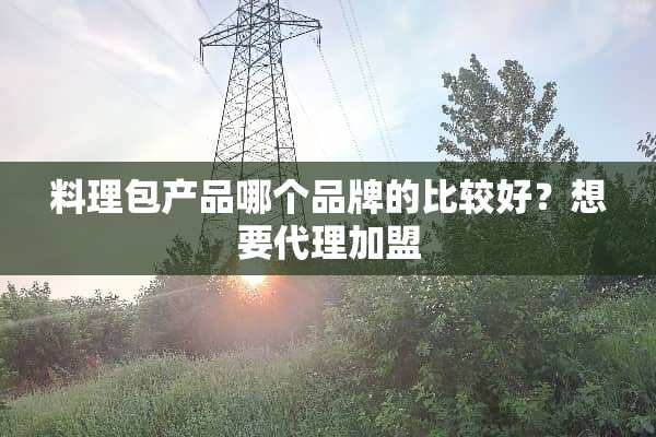 料理包产品哪个品牌的比较好？想要代理加盟