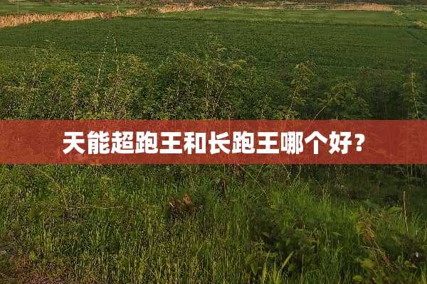 天能超跑王和长跑王哪个好？