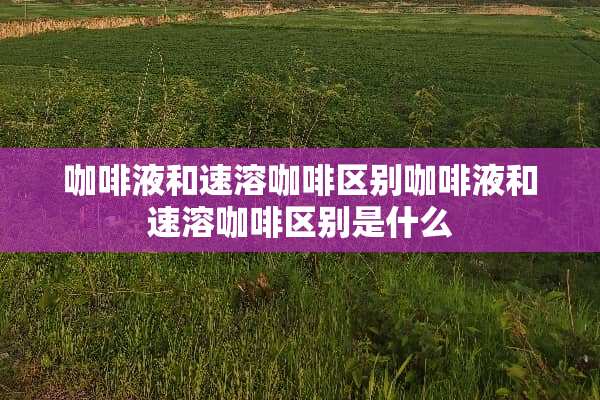 咖啡液和速溶咖啡区别咖啡液和速溶咖啡区别是什么