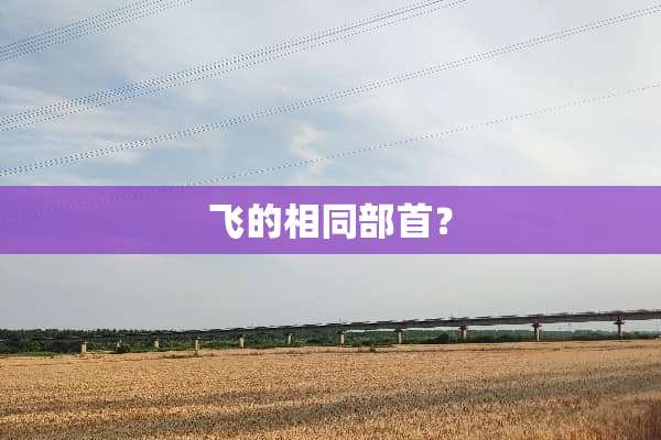 飞的相同部首？