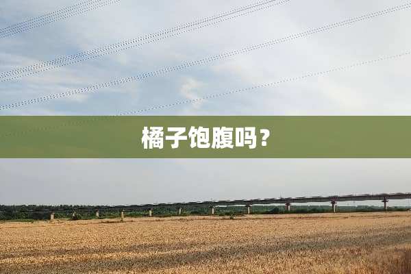 橘子饱腹吗？