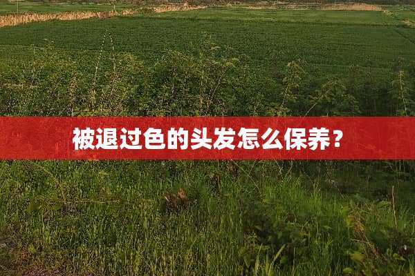 被退过色的头发怎么保养？