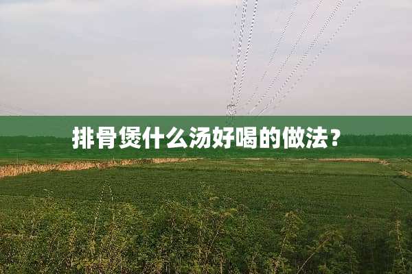 排骨煲什么汤好喝的做法？