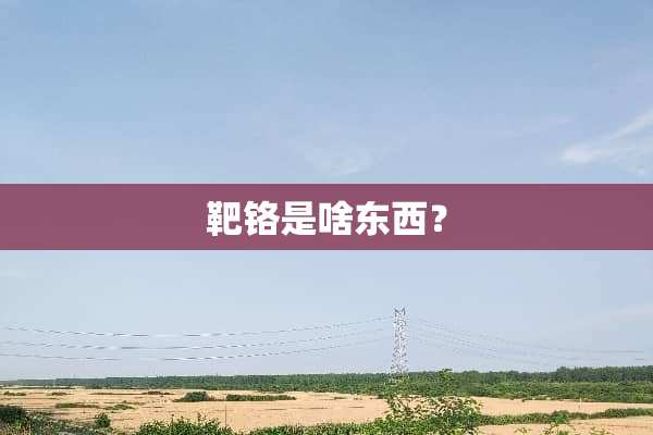 靶铬是啥东西？