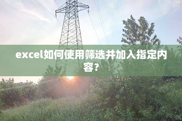 excel如何使用筛选并加入指定内容？