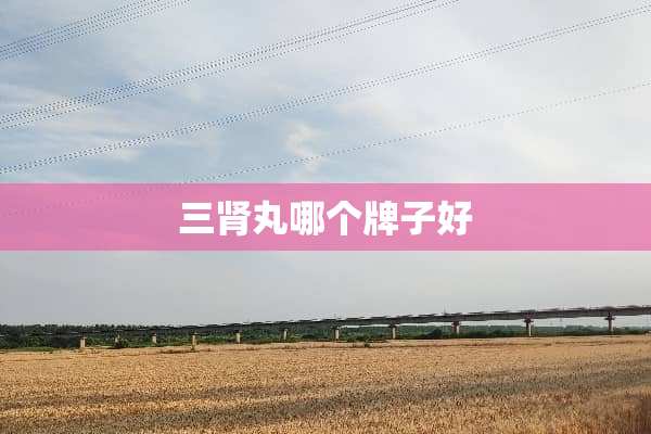 三肾丸哪个牌子好