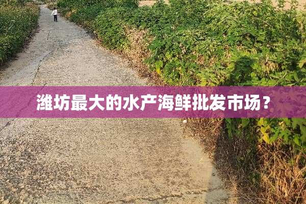 潍坊最大的水产海鲜批发市场？