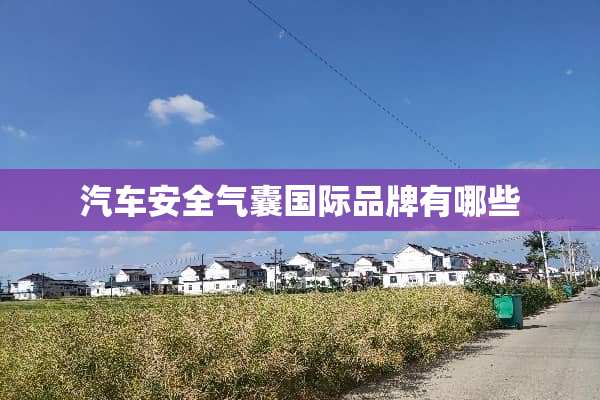 汽车安全气囊国际品牌有哪些