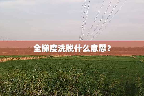 全梯度洗脱什么意思？
