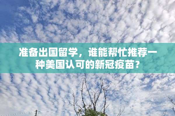 准备出国留学，谁能帮忙推荐一种美国认可的新冠**？