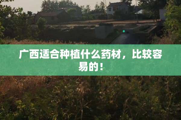 广西适合种植什么药材，比较容易的！