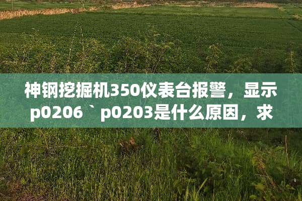 神钢挖掘机350仪表台报警，显示p0206｀p0203是什么原因，求解