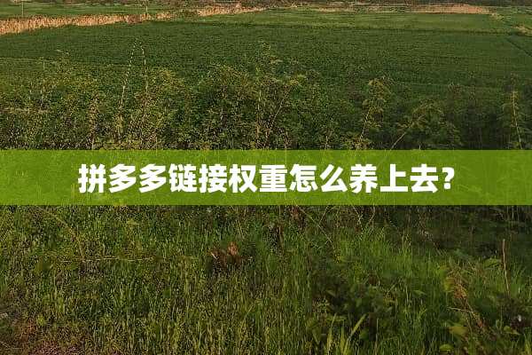 拼多多链接权重怎么养上去？