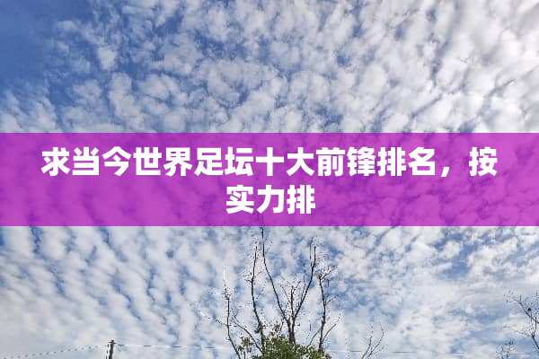 求当今世界足坛十大前锋排名，按实力排