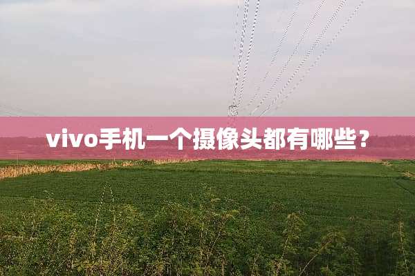 vivo手机一个**头都有哪些？