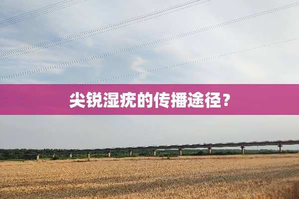 尖锐湿疣的传播途径？